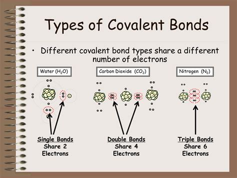 Types Of Covalent Bonds Worksheet   Types Of Chemical Bonds Worksheet Excelguider Com - Types Of Covalent Bonds Worksheet