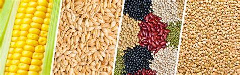 Types Of Crops