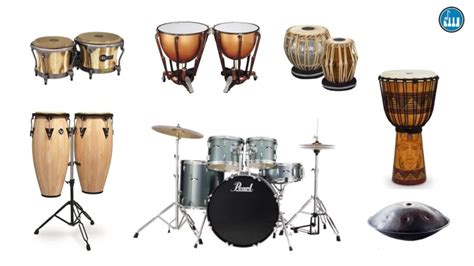 Types Of Drums