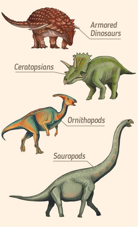 Types Of Dynasore