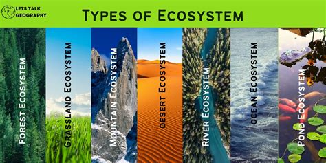 Types Of Ecosystem Pdf