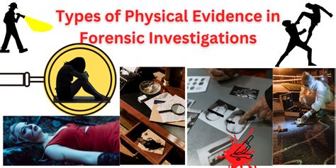 Types Of Evidence In Forensic Science