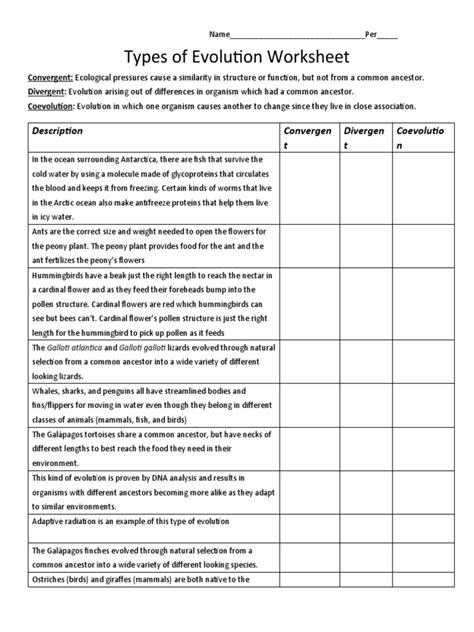 Types Of Evolution Worksheet Answers