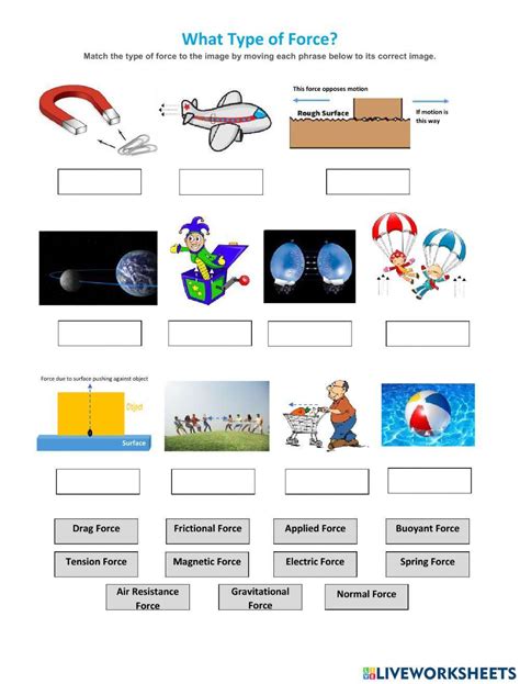 Types Of Forces Worksheet