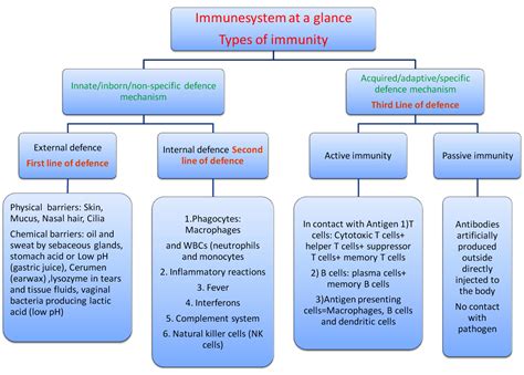 Types Of Immunity Ppt