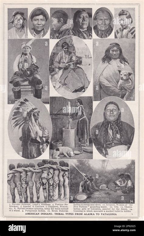 types of indians