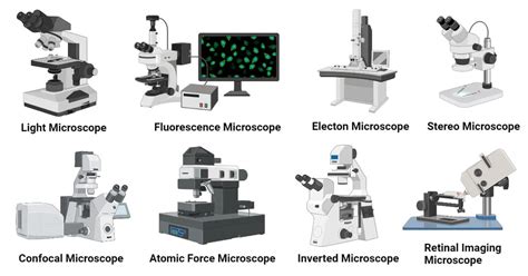 Types Of Microscope