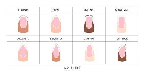Types Of Nail Shapes