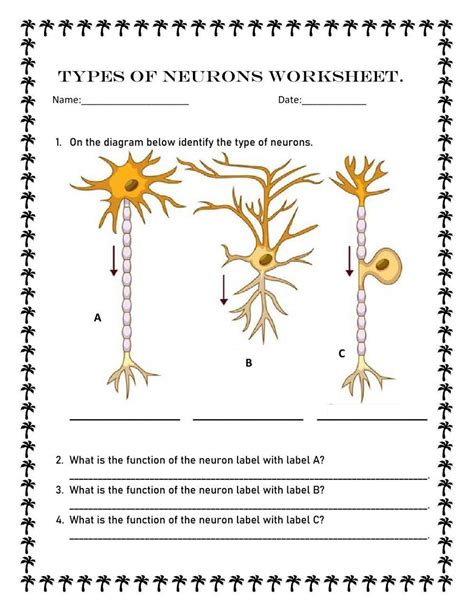 Types Of Neurons Worksheet Live Worksheets Neurons 5th Grade Worksheet - Neurons 5th Grade Worksheet