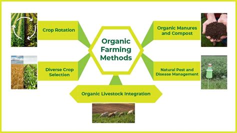 Types Of Organic Farming