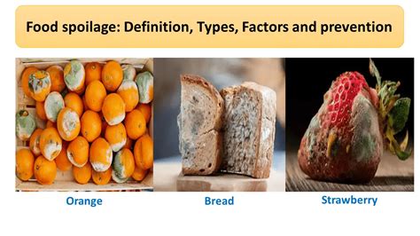 Types Of Spoilage