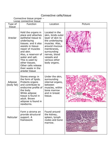 Types Of Tissues Worksheet Connective Tissue Matrix Worksheet Answers - Connective Tissue Matrix Worksheet Answers