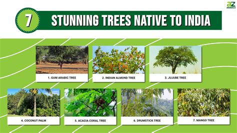 Types Of Trees In India