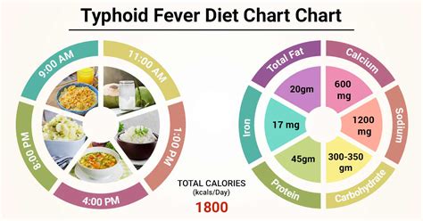 Typhoid Fever Diet