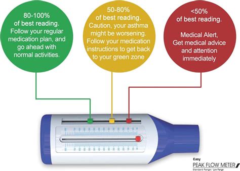 Typical Peak Flow Meter Readings