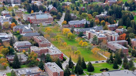 u maine