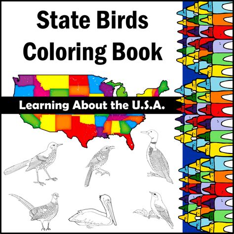 U S State Birds Coloring Book My Teaching Alaska State Bird Coloring Page - Alaska State Bird Coloring Page