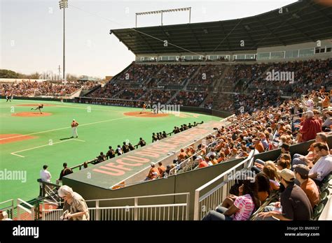 u texas baseball