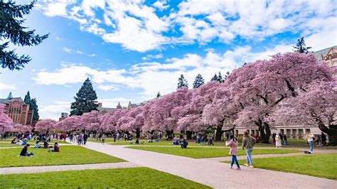 u washington