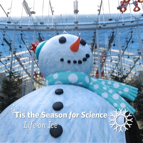 U0027tis The Season For Science California Academy Of Science Seasons - Science Seasons