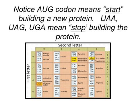 Uaa Uag Uga