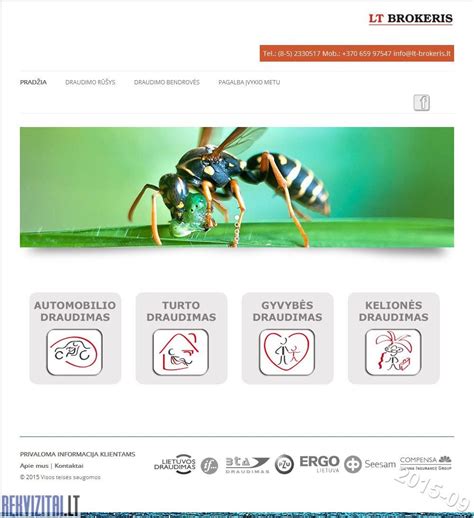 blackjack online: Apostando nas Melhores Apostas Desportivas Online com a Garantia de Segurança dos Fundos - Foto 2