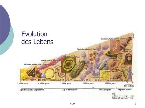 Uber Die Evolution Des Lebens Der Pflanzen Und Ti