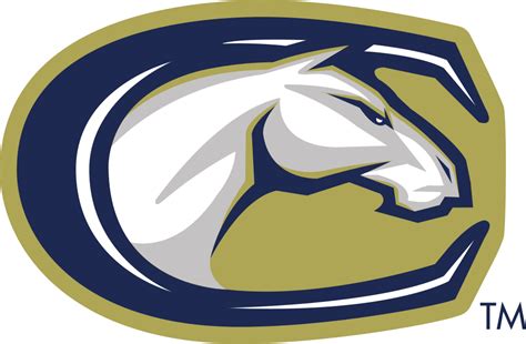 uc davis colors