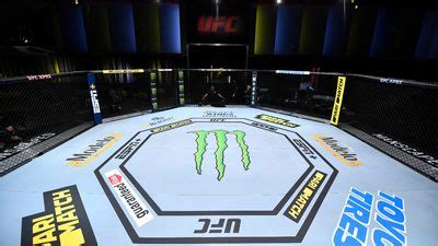 ufc fight night gambling picks iisp belgium