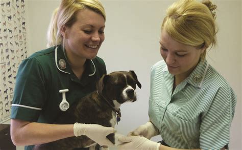 Read Online Uk Veterinary Nurse Osce Study Guide 