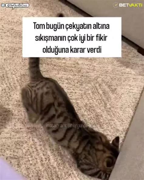 ulan her sabah da olur mu be! işemek için iki büklüm olmanı gerektiren illet.