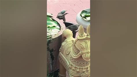 nature photo by Pearl Mayer