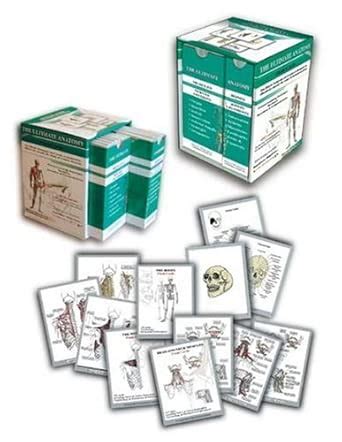 Ultimate Anatomy Muscles Bones Head And Neck Muscles Flash Cards