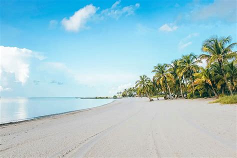 um florida