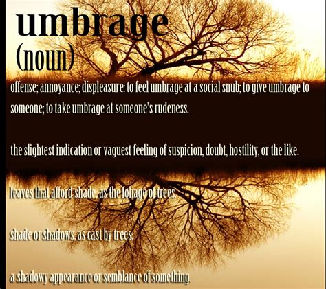 Umbrage Meaning