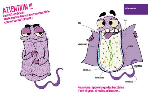 un microbe n explique pas une a c pida c mie l im