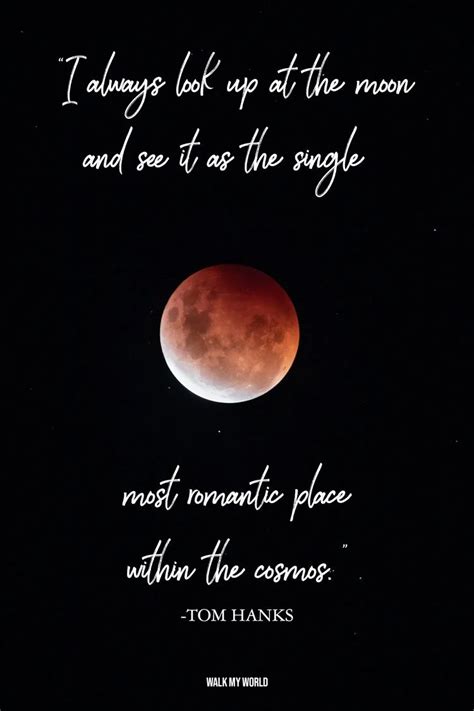 Under The Same Moon Quotes