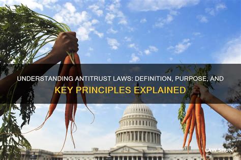 Understanding And Application Of Antitrust Law Paperback