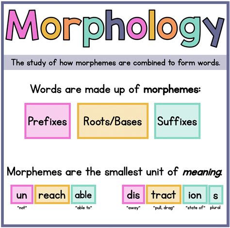 Understanding Morphology