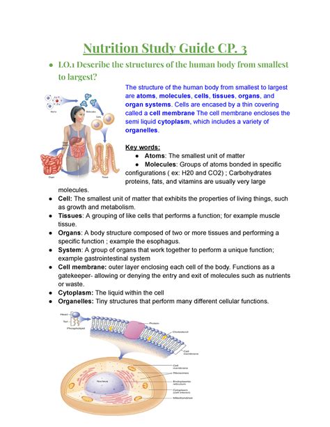 Full Download Understanding Nutrition Study Guide Answers 