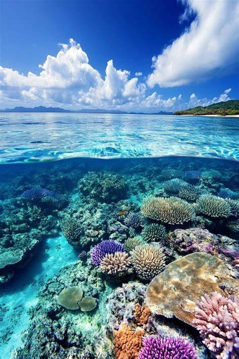 underwater australia