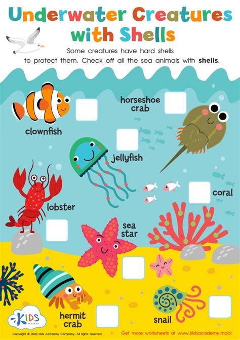 Underwater Creatures With Shells Worksheet For Kids Seashell Worksheet Grade 1 - Seashell Worksheet Grade 1