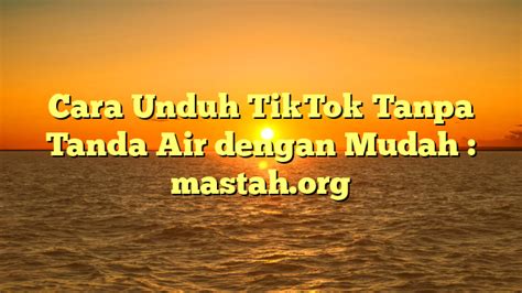 UNDUH TIK TOK TANPA TANDA AIR - 4 cara mudah download video TikTok tanpa watermark