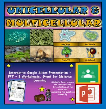 Unicellular Vs Multicellular Interactive Google Slides Tpt Unicellular Vs Multicellular Organisms Worksheet - Unicellular Vs Multicellular Organisms Worksheet