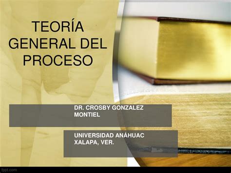 Read Online Unificaci N Procesal Teor A General Del Proceso 