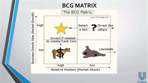 unilever bcg matrix analysis
