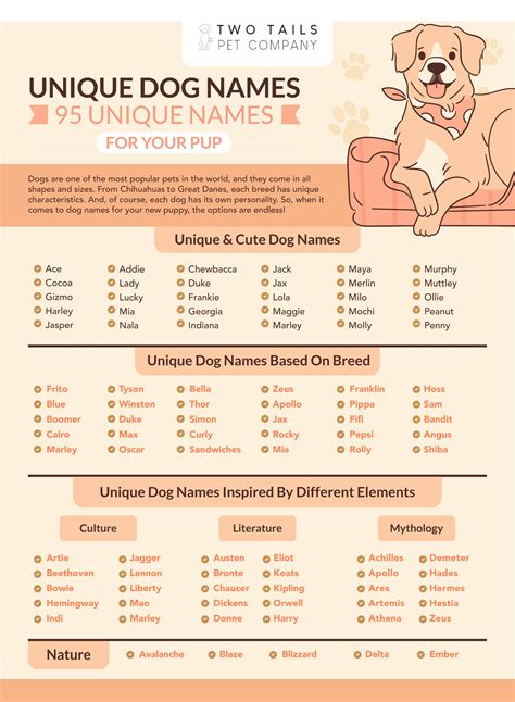 Unique Yorkie Names