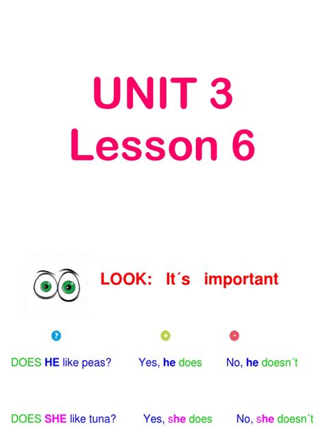 unit 3 lesson 6 grandpas corner store