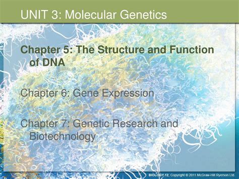 Unit 3 The Molecular Basis Of Heredity