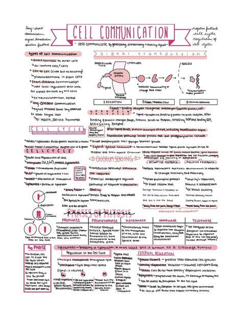 unit 4 biology review answer